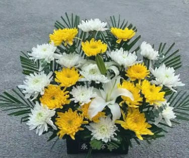 祖墳在水塘中間對(duì)后代有什么影響？傳統(tǒng)觀念與環(huán)境分析