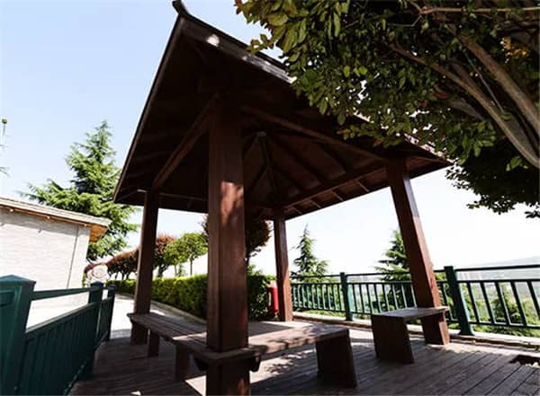西安陵園中的樹葬有哪些特點，它如何體現(xiàn)了環(huán)保和節(jié)約的理念？