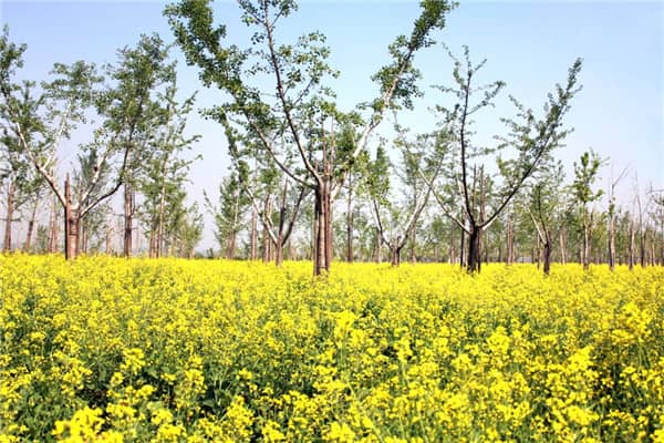 西安喪葬習(xí)俗中，有哪些環(huán)節(jié)體現(xiàn)了對(duì)逝者的尊重和緬懷？