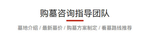清明公祭活動對社會道德風尚的深遠影響